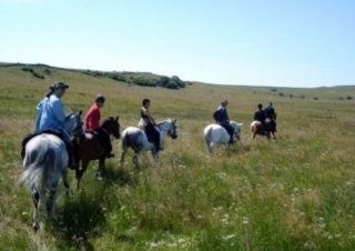 Sejour equestre en Lozere